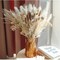 Dried Pampas Grass Décor, White Pompous Grass, Bunny Tails Dried Flowers Reed Grass, 17 inch Pompass Grass for Flower Arrangements Home Décor for a Boho Wedding